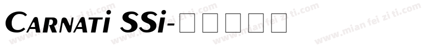 Carnati SSi字体转换